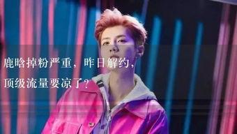 娱乐吃瓜小故事视频大全,吃瓜小故事视频大全精选集